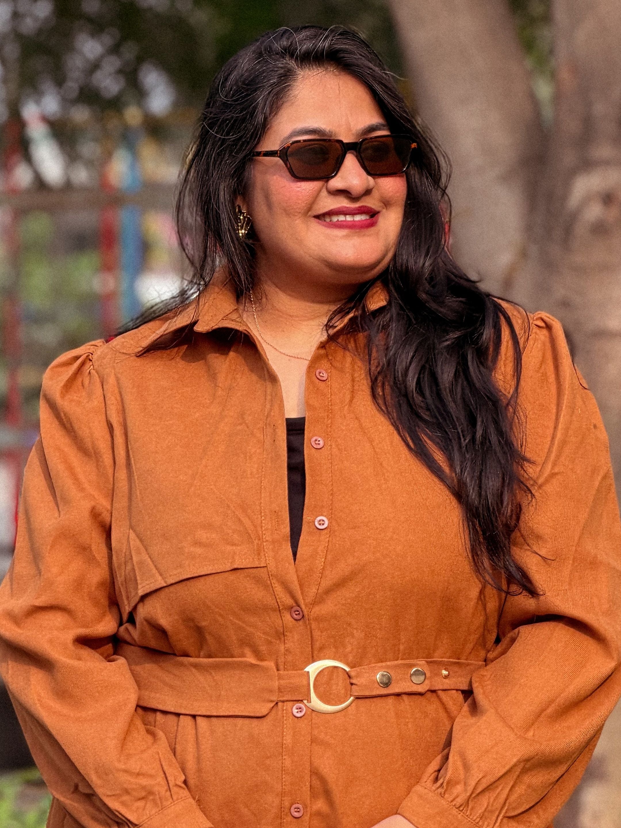 Brown Pretty Poise Dress